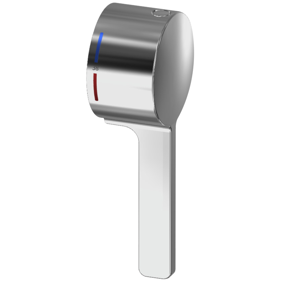 2030068666 - ASLT1005 - F5 - Hebelkappe