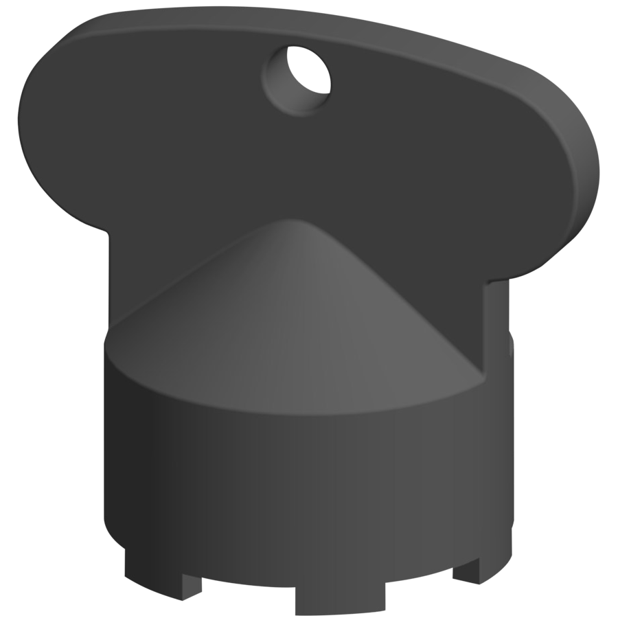 3600004880 - ACXX1013 - F5 - Montageschlüssel